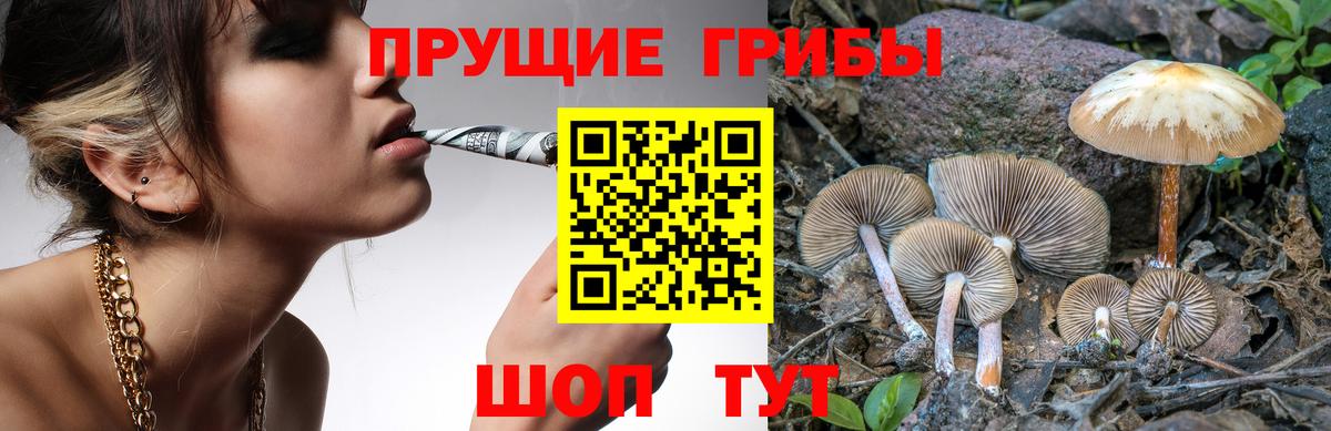 Галлюциногенные грибы мухоморы Серпухов